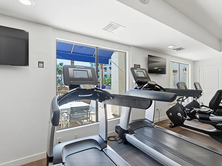 Modern fitness center featuring cardio, free weights, and strength equipment.