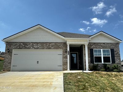 610 Canoe St, Johnson City, TN, 37604