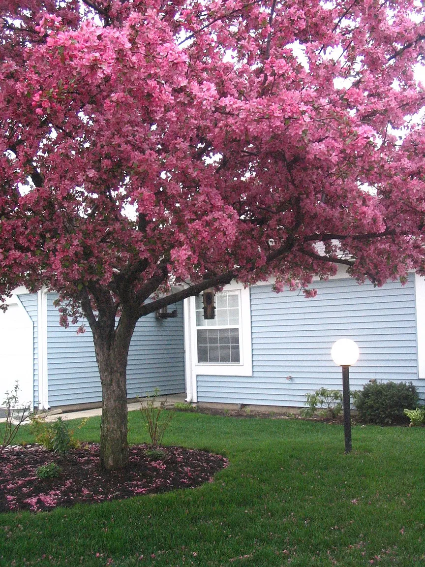 1201 Clematis Dr photo 1