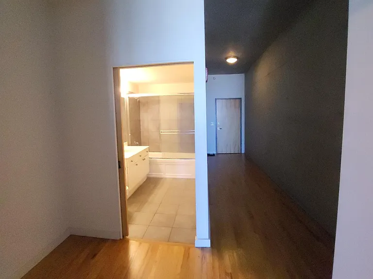 1720 S Michigan Ave #2117 — Photo 4