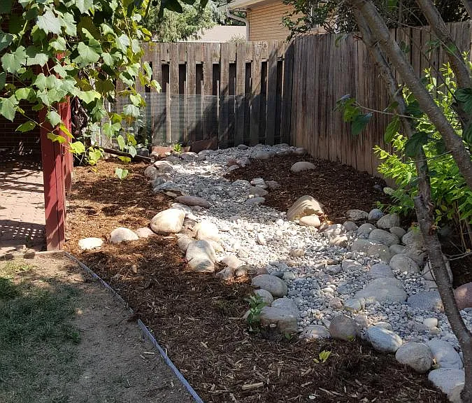 Back yard.