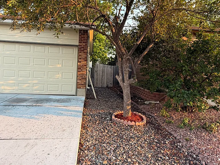Trimmed and well-kept yard