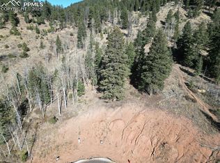 1380 Blue Haven Pl, Woodland Park, CO 80863
