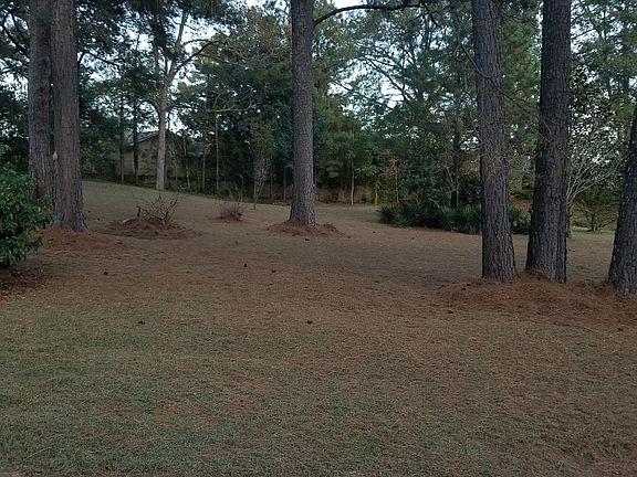 5th image of 113 Keri Dr