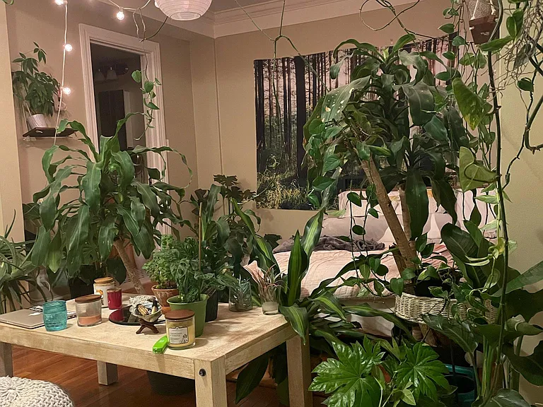 15 E Kirby St #730 — Photo 9