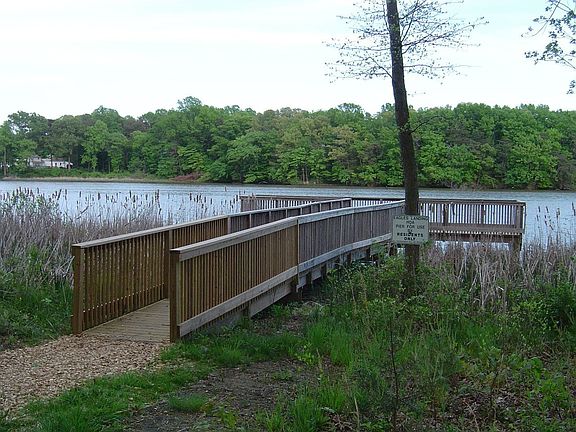 Water view and dock