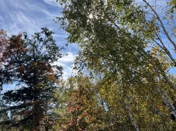 307 Popple Dr SE, Bemidji, MN 56601