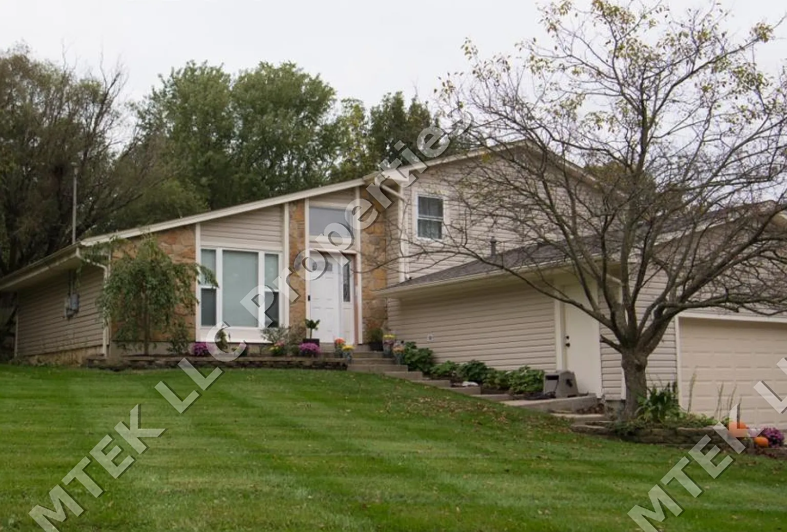 1 bed, 90 sqft, $700 — Photo 1