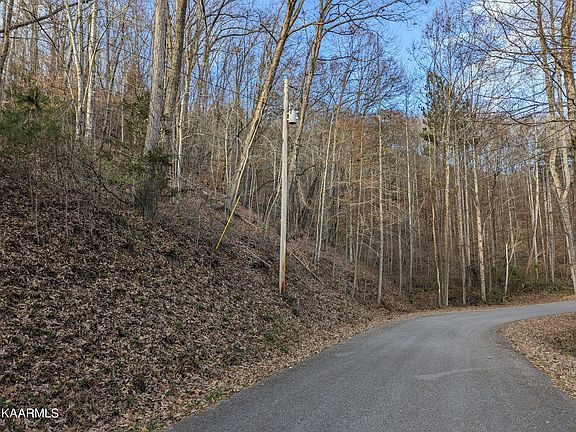 2nd image of Tionesta Dr