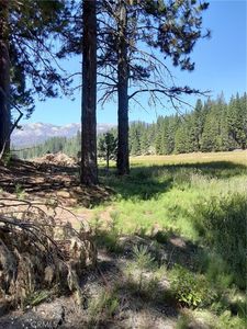 49 S Meadow Ln #49, North Fork, CA, 93643