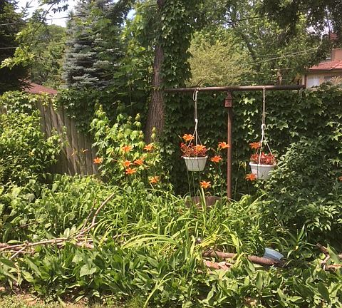 4th image of 1911 W Lunt Ave