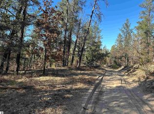 0 Wilderness Trl, Grayling, MI 49738