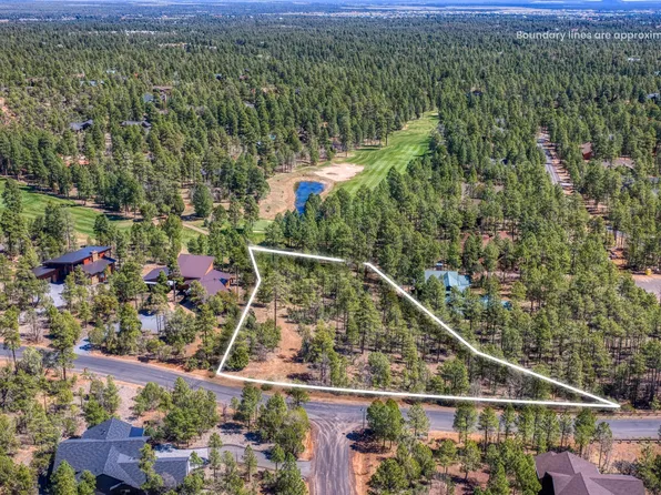 1651 S Falling Leaf Rd, Show Low, AZ 85901