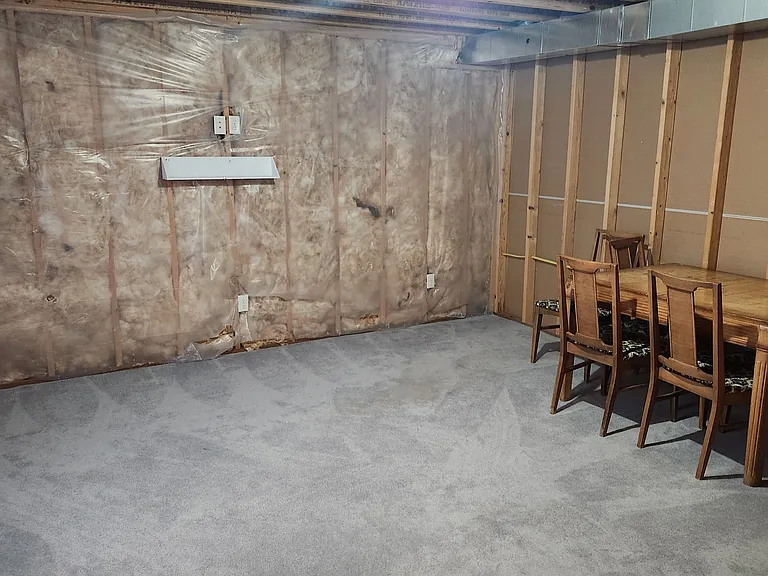 Unfinished basement