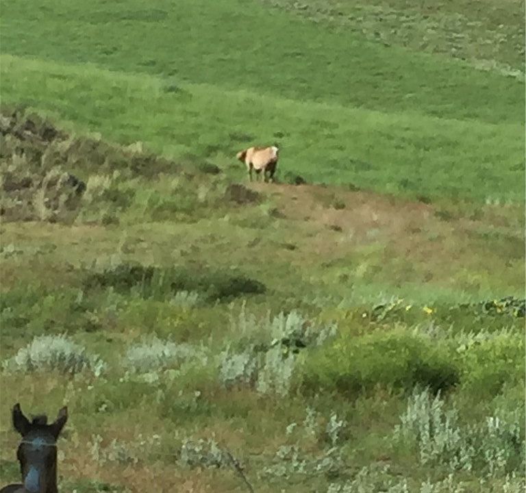 1st image of 6658 Moser Dome Rd