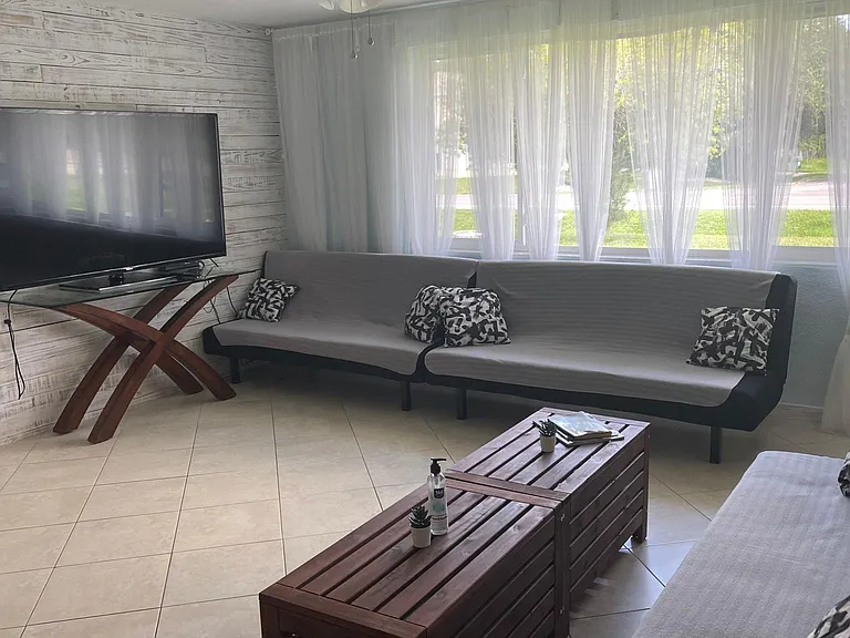 Living room with 65" TV