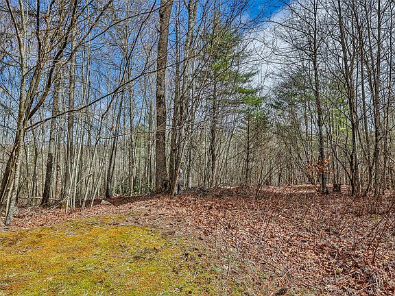 3rd image of 124 Compass Rose Way