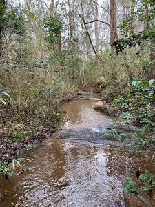 0 Chalybeate Rd, Manchester, GA, 31816