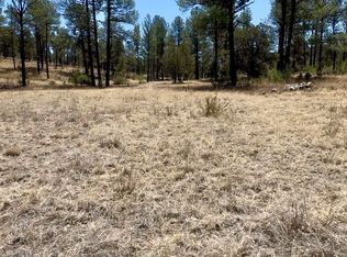 7 Surcingle Ave, Timberon, NM 88350