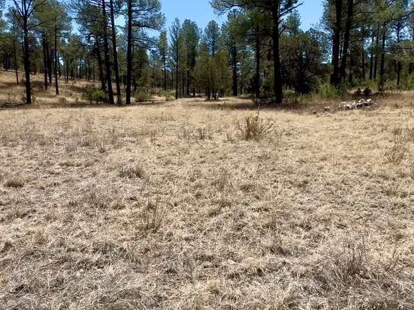 7 Surcingle Ave, Timberon, NM 88350