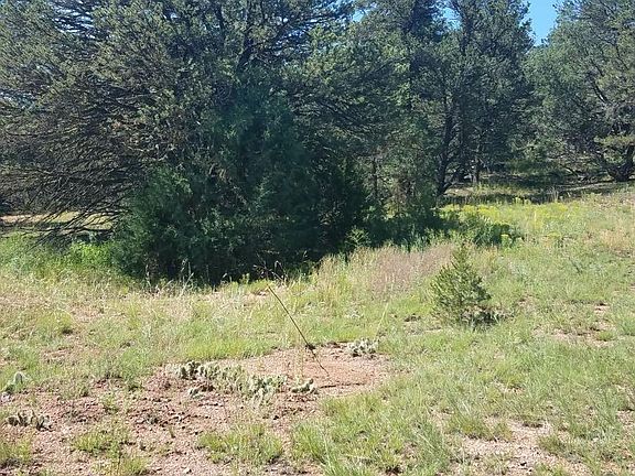 2nd image of 1137 Texas Creek Ln