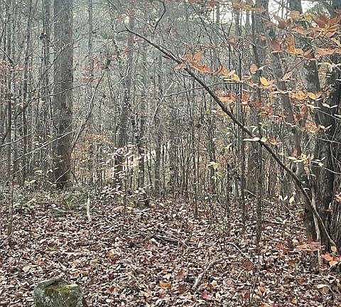 4th image of 468 Horns Creek Rd
