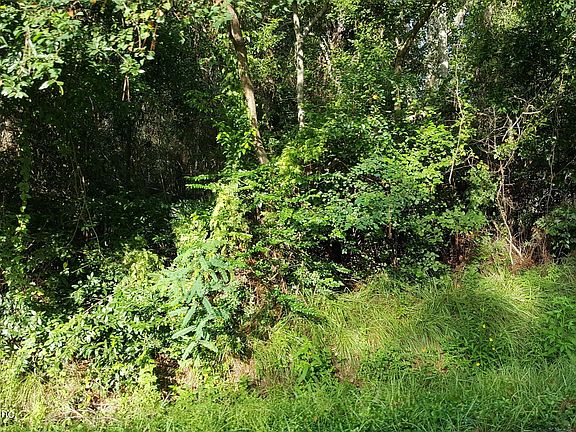 3rd image of 0 SHRIKE Avenue