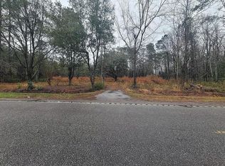 Tbd Highway 19, Nichols, SC 29581