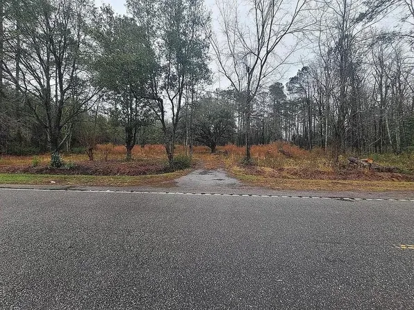TBD Highway 19, Nichols, SC 29581