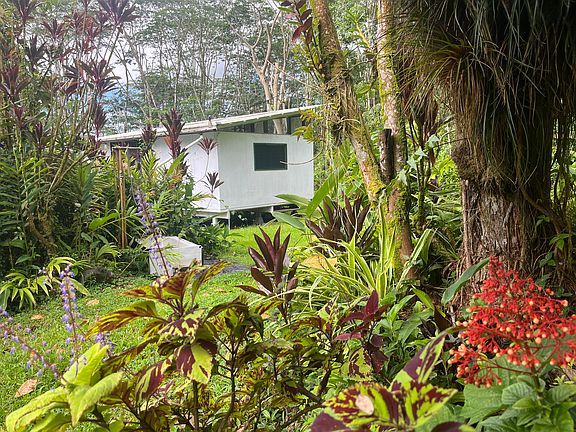 3rd image of 13-3980 Pahoa Kalapana Rd
