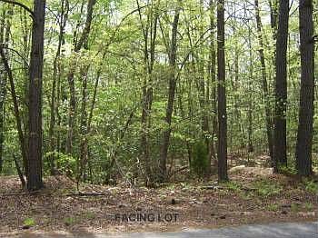 1st image of 119 Timberwood Dr