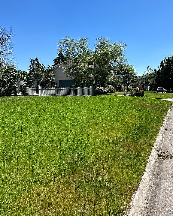 View to the South end of lot
