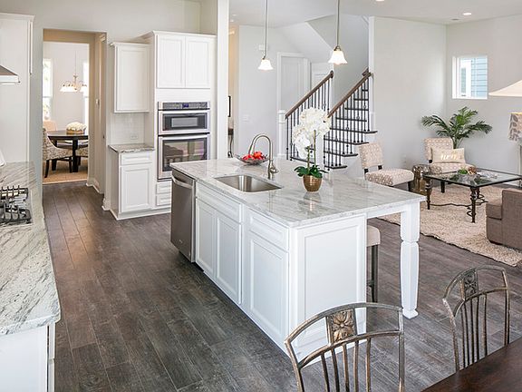 Open Gourmet Kitchen, great for entertaining