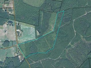 245 Mose Crews Rd, Saint George, GA 31537