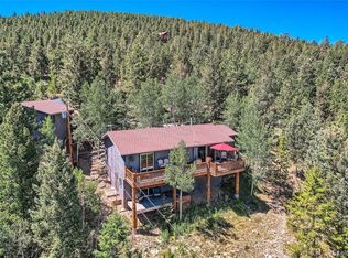 51 High View Ln, Bailey, CO 80421