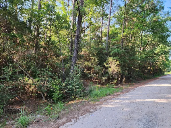 135 Arborcrest Dr Lot 273, Brookeland, TX 75931