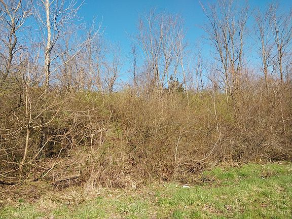 3rd image of 0 Briggs Rd