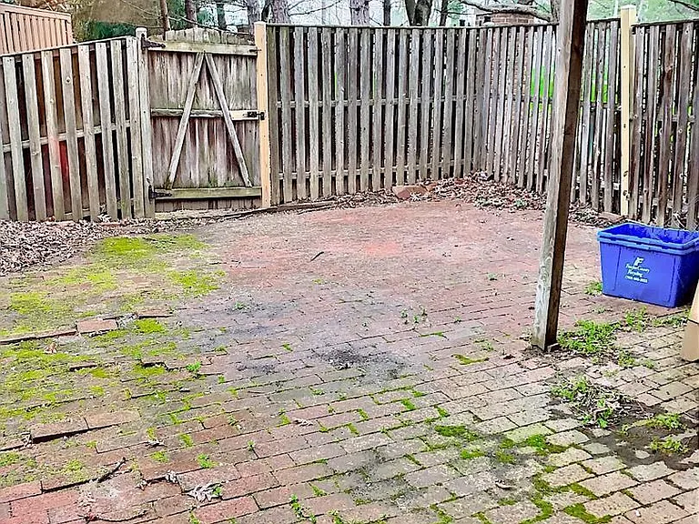 3100 Black Hickory Dr — Photo 19