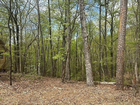 4th image of LOT B87 Laurel Rdg