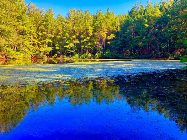 460 Elbert Ln NE, Brookhaven, MS 39601