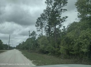 0 Red Marlin Ave, Brooksville, FL 34614