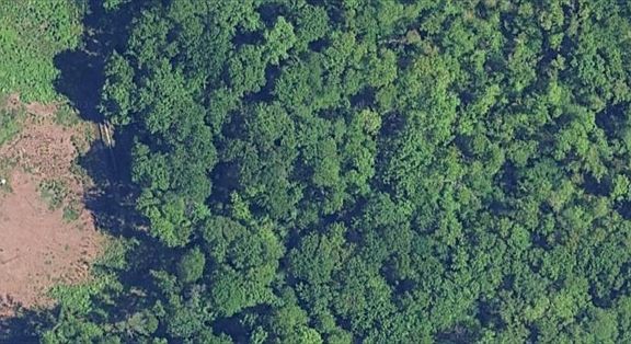 2nd image of 0 Ahiska Rd