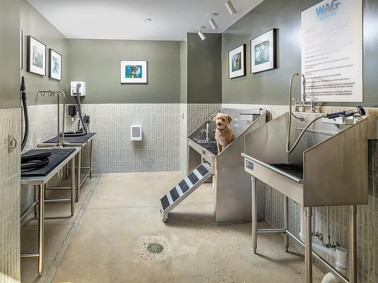 WAG pet spa