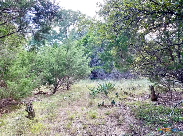 63 Cedar Trails Dr, Belton, TX 76513