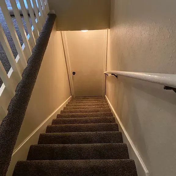 Steps to basement with new carpet