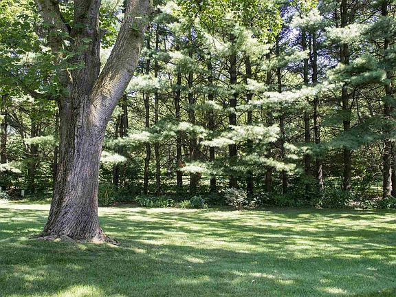 5th image of 51888 Gentian Ln