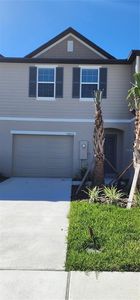 32050 Eastern Redbud Br, San Antonio, FL, 33576