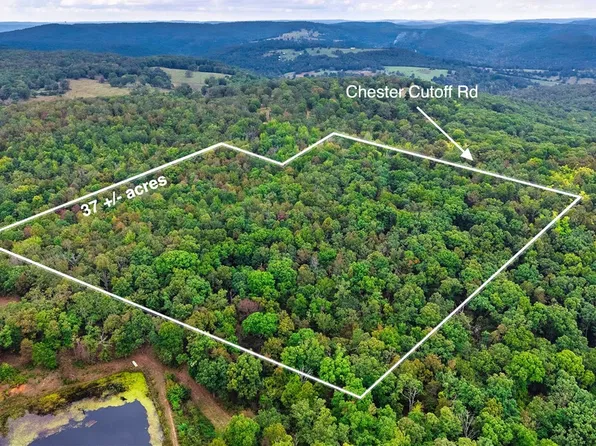 7718 Cove Chester, Chester, AR 72934