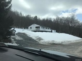 72 Hunter Rd, Parksville, NY 12768