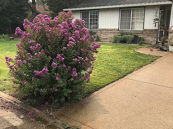 2nd image of 439 Yew Wood Dr